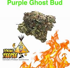 Image result for Purple Ghost Strain