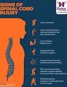 Image result for Symptoms of Spinal Misalignment