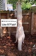 Image result for 5 Foot 7 Inches