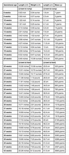 Average Fetal Length And Weight Chart Babycenter Baby