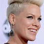 Image result for Pink Singer Photo Gallery