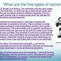 Image result for Indirect Subjective Camera Angle