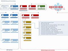Image result for Recover CPR Guidelines