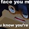 Image result for Funny Aphmau Browser Memes