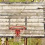 Image result for Back Yard Basketball Hoop Vintage
