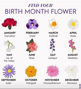 Image result for Birth Month Flowers and Birthstones