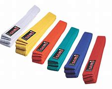 Image result for Karate Belt Colors Levels