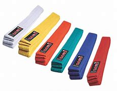 Image result for Karate Belt Colors