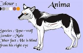 Image result for Anima Character Sheet