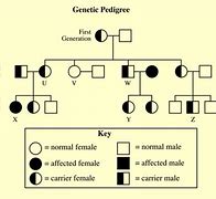 Image result for Sickle Cell Anemia Pedigree Chart