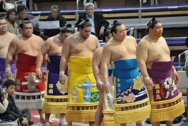 Image result for Sumo Wrestler Weight Loss