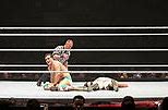 Image result for WWE John Cena Top 10
