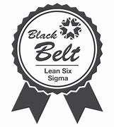 Image result for Six Sigma Black Belt