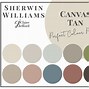 Image result for Canvas Tan SW 7568