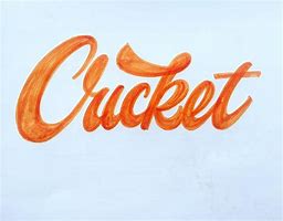 Image result for Cricket Typography Logo