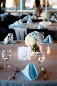 Image result for Baby Blue Wedding Theme