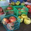 Image result for Heirloom Apple Varieties