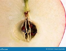 Image result for Apple Slices Macro