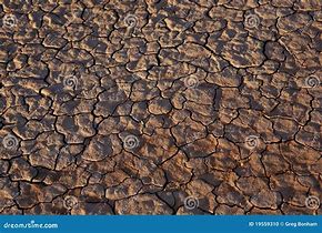 Image result for Deserts with Broken Floors