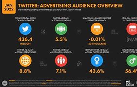 Image result for Twitter Target Audience Age