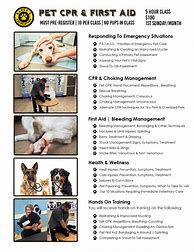 Image result for Pet CPR Posters