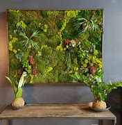 Image result for Indoor Moss Wall at Home