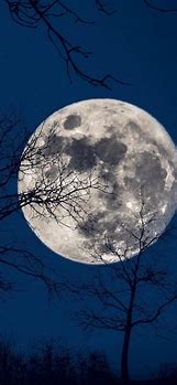 Image result for Blue Moon Phone Wallpaper