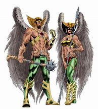 Image result for DC Comics Hawkman and Hawkgirl