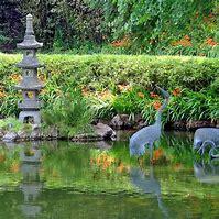 Image result for Japanese Pond