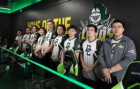 Image result for College with eSports Team