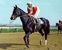 Image result for Horse Racing Ruffian