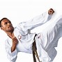 Image result for Karate Japan