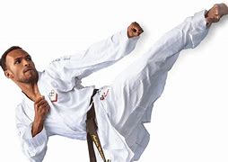 Image result for Karate Equipment Art