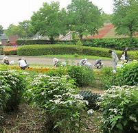 Image result for Sagamihara Places