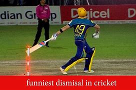 Image result for Funniest Dismisal in Cricket