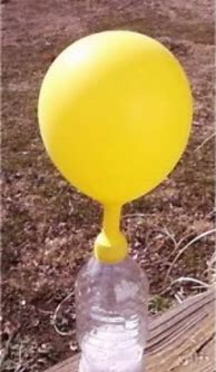 Image result for Kids Science Experiments