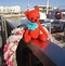 Image result for Teddy Bear Doll