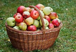 Image result for Apples in Basket