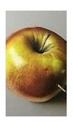 Image result for Drawing Realistic Colored Pencil Art