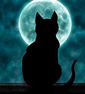 Image result for Moon Cat Art