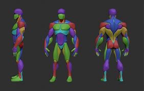 Image result for Stylized Character Anatomy 2D