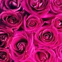 Image result for iPad Wallpaper Roses