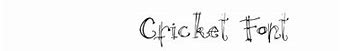 Image result for Cricket Fonts Free