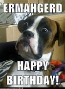 Image result for Funny Puppy Birthday Memes