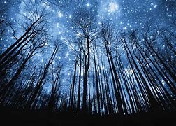 Image result for Starry Night Sky Wallpaper