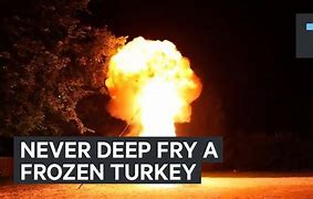 Image result for Frozen Turkey Meme