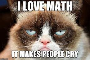 Image result for Grumpy Cat Math Meme