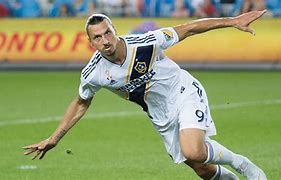 Image result for Major League Soccer Miami