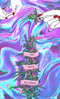 Image result for 420 Aesthetic
