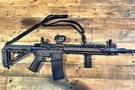 Image result for Smith and Wesson MP Sport 2